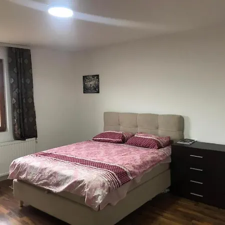 Vila Zivanovic - Oplenac Villa *